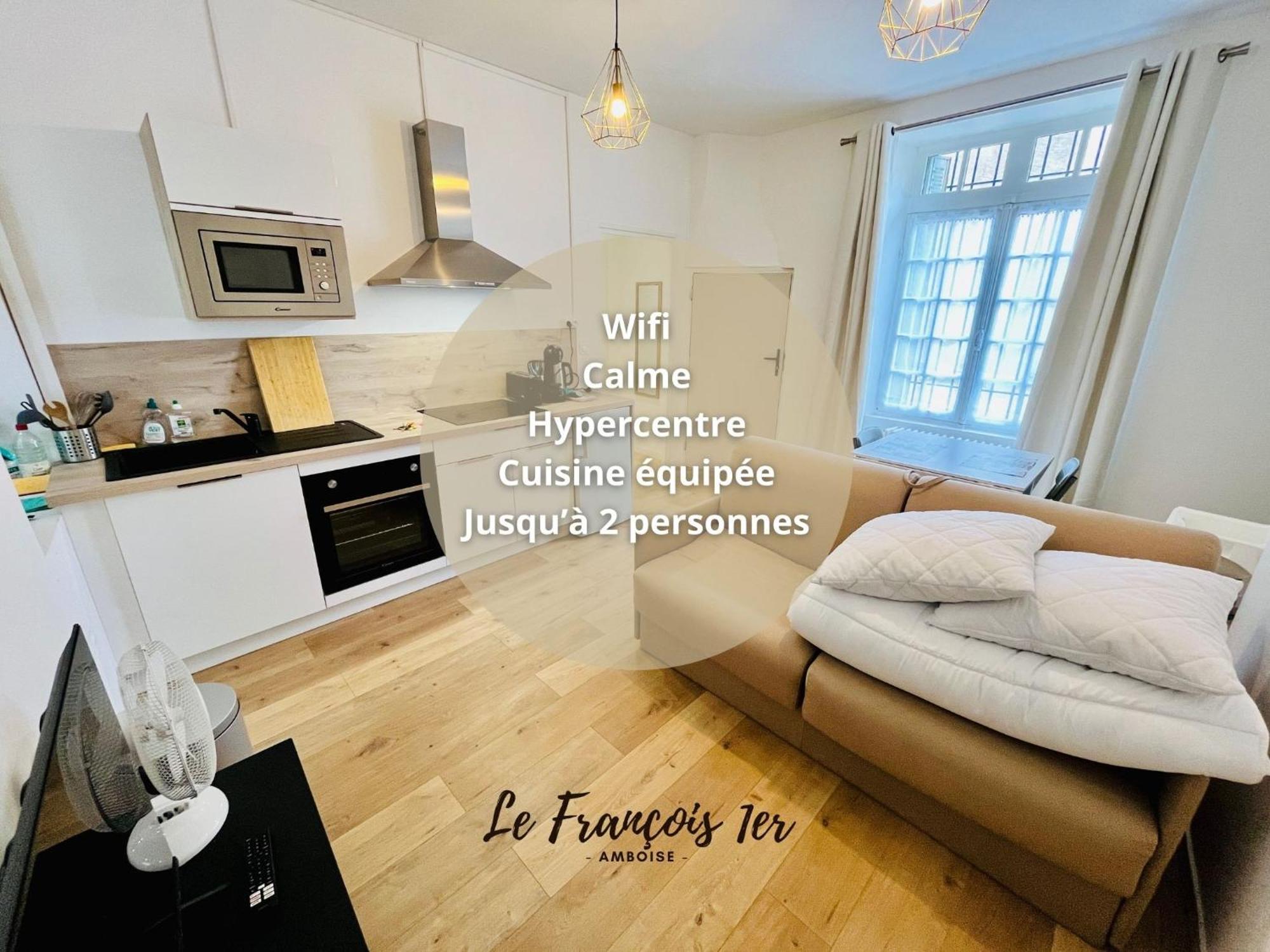 Le Francois 1Er - Studio Entre Loire Et Chateau Royal - Manoir De La Concorde أمبُواز المظهر الخارجي الصورة